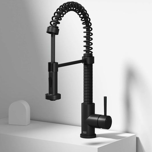 Edison Pull-Down Kitchen Spray Faucet